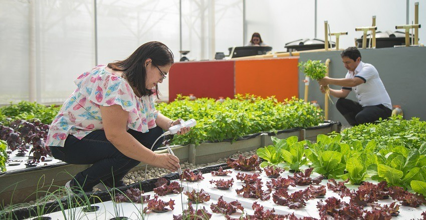 Ibagué será sede del primer encuentro mundial de Bioeconomía