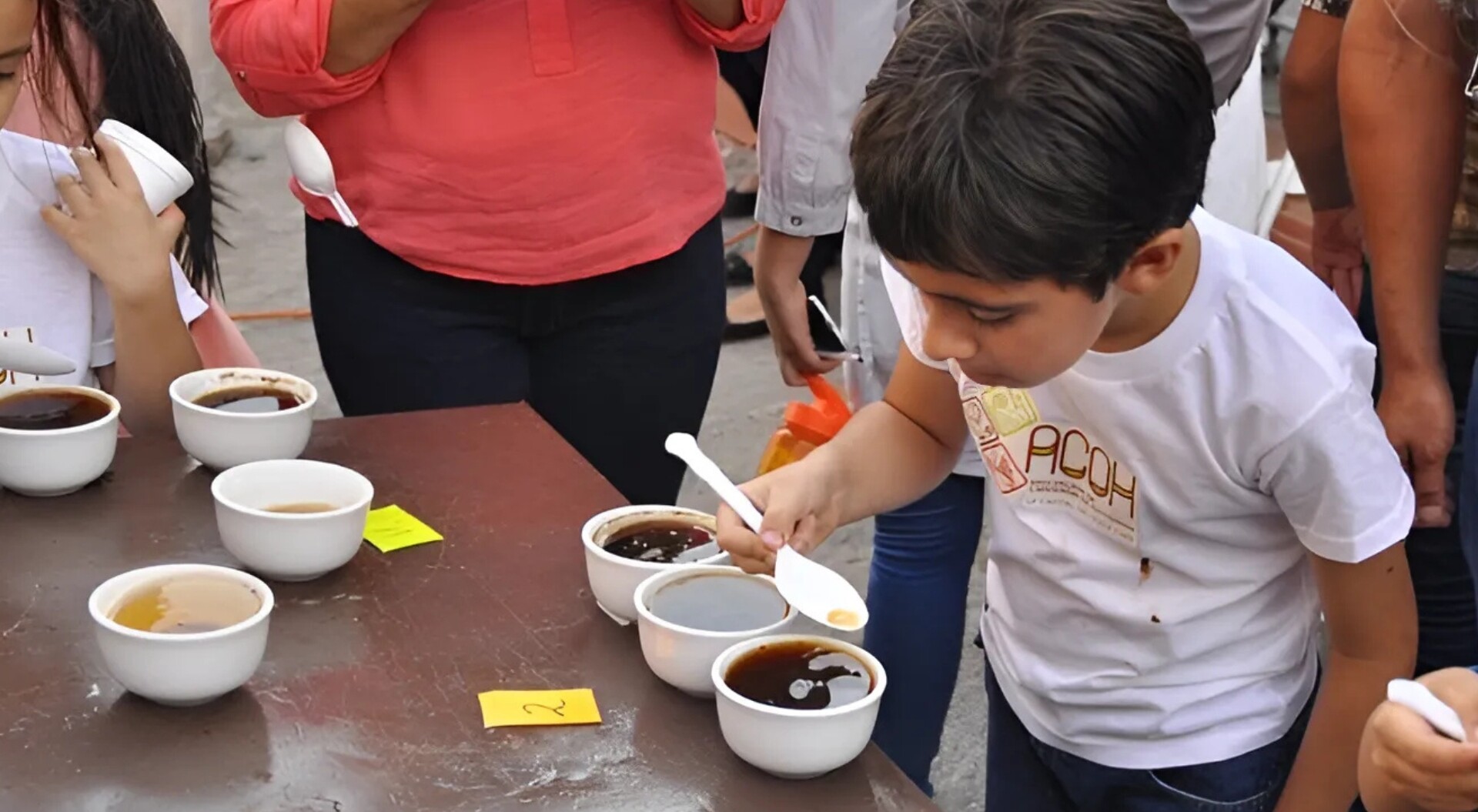 Llega al Tolima la primera Competencia de Cafés Filtrados y catación infantil