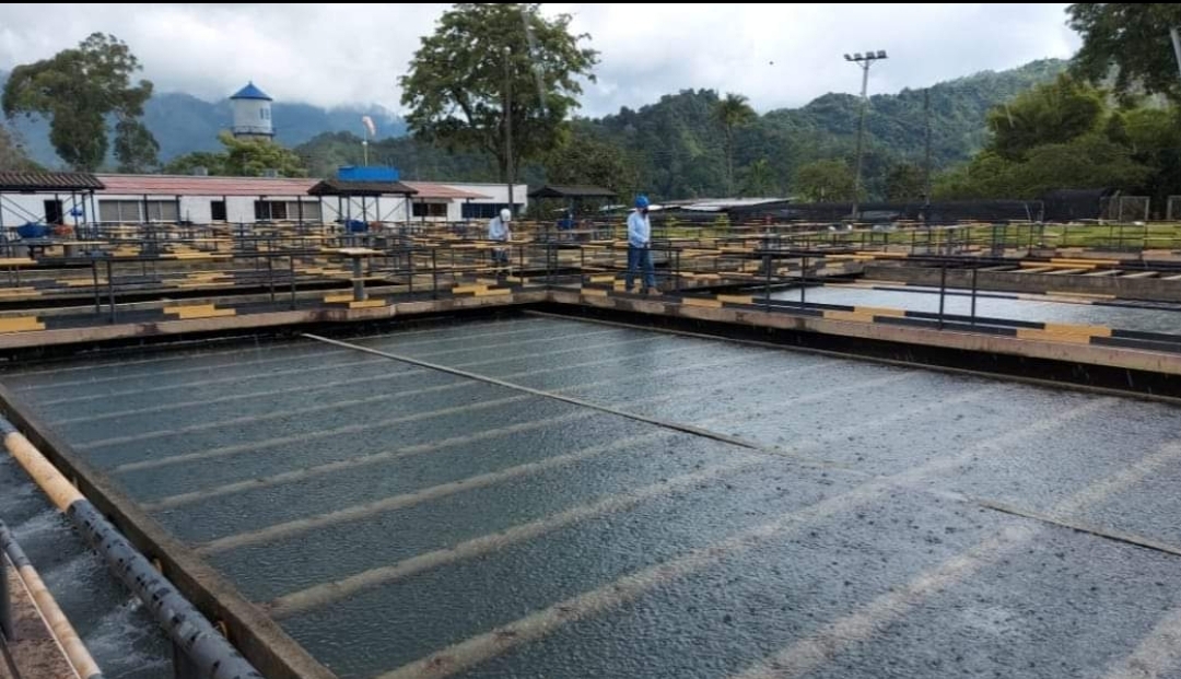 De nuevo se activan protocolos por lluvias en Ibagué