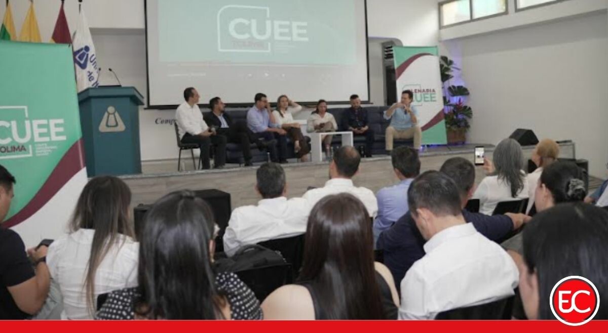 “Lo que no se planea, no se ejecuta”: mensaje del CUEE Tolima