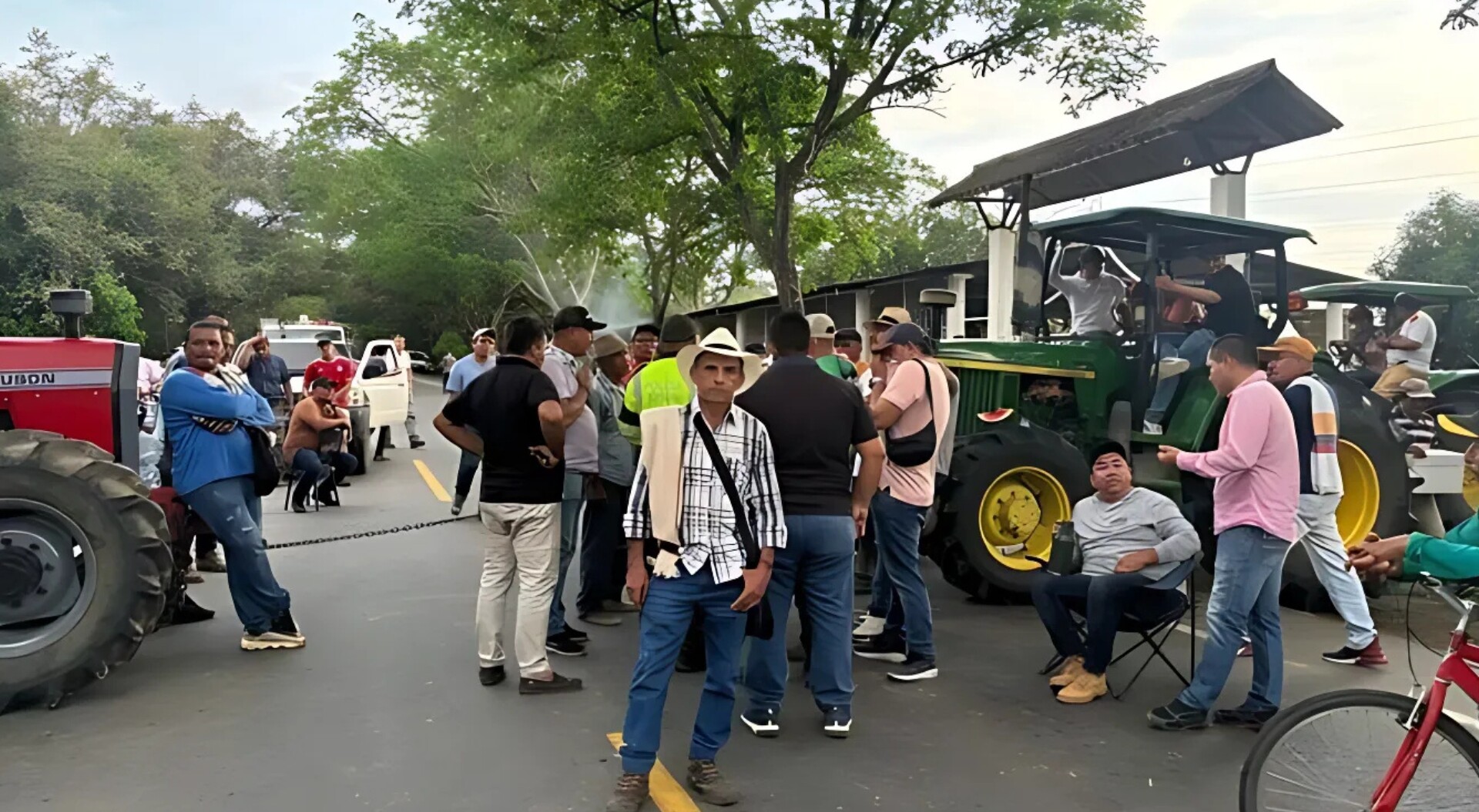 Los estragos económicos que deja una semana del paro arrocero en el Tolima