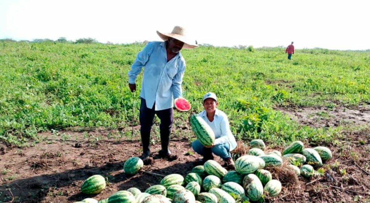 Los frutos de la Reforma Agraria