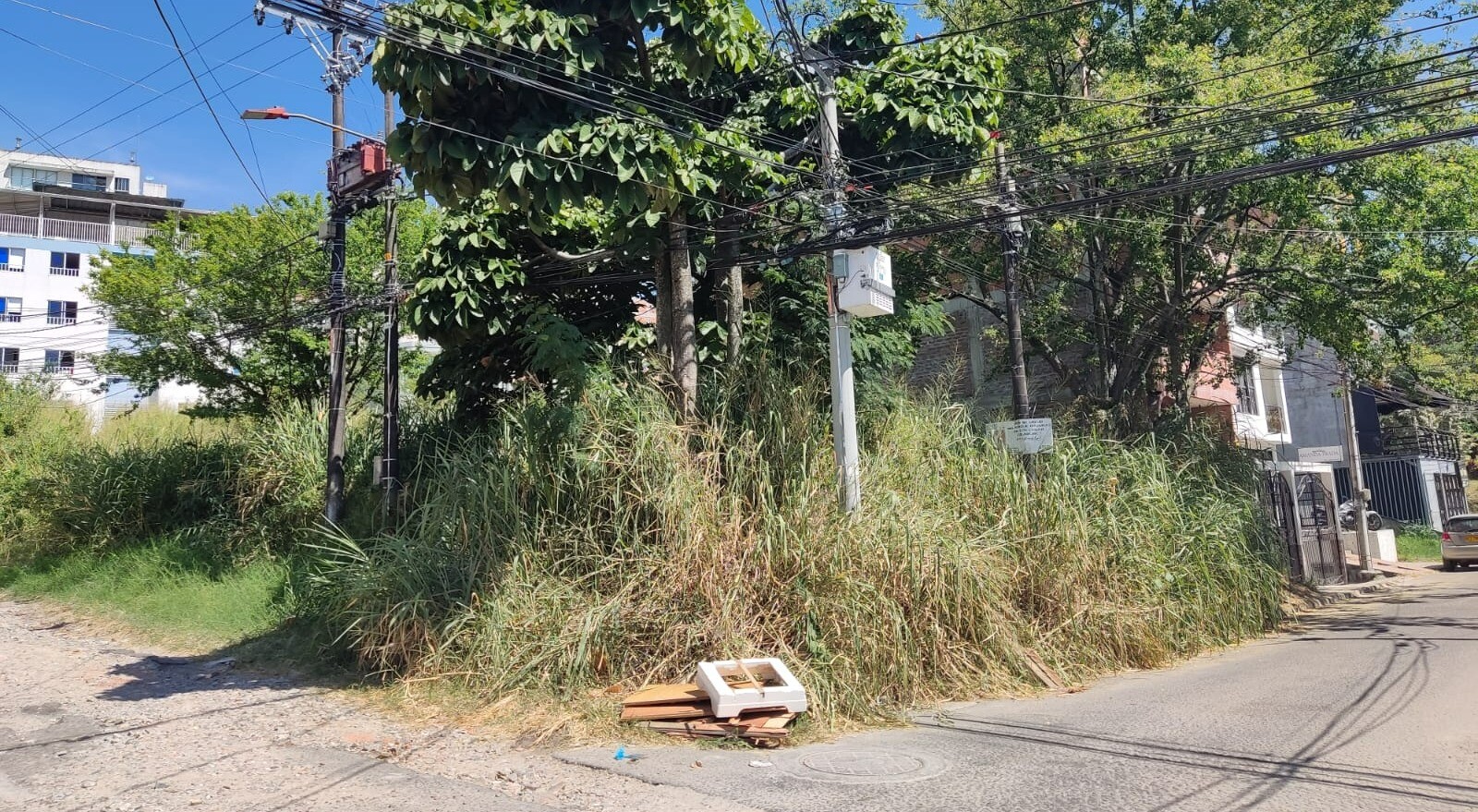 Lote de engorde se convirtió en basurero, “atracadero” y nido de plagas en Rincón de Piedra Pintada