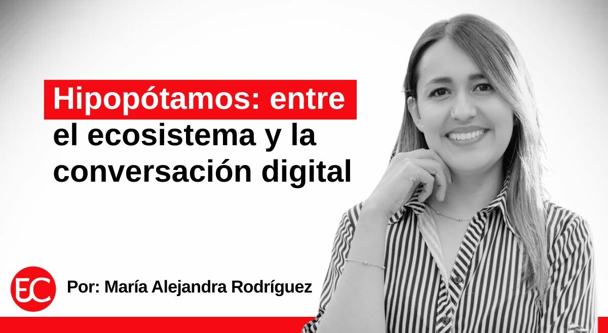 Hipopótamos: entre el ecosistema y la conversación digital