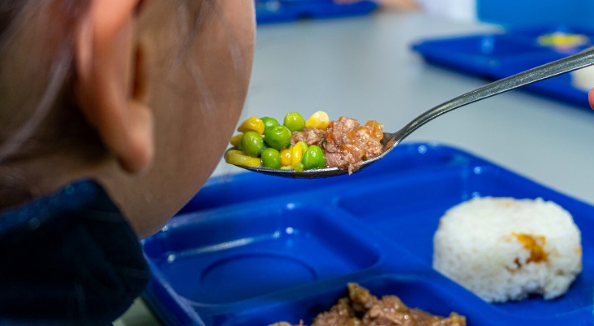 Más de 3 millones de estudiantes en riesgo de quedarse sin el PAE