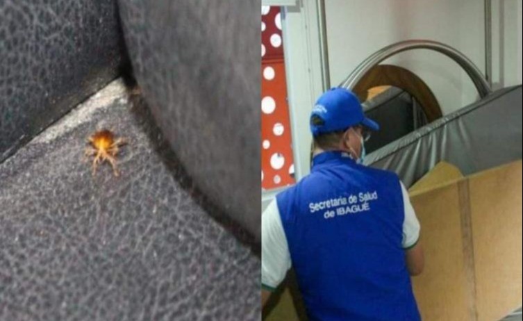 "Mate la cucaracha que no me deja concentrar"