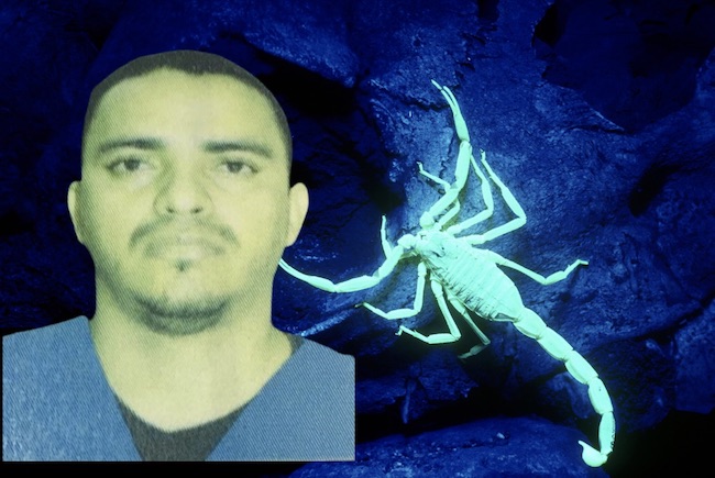 Condenan a médico general por no haber atendido a menor que fue picado por alacrán