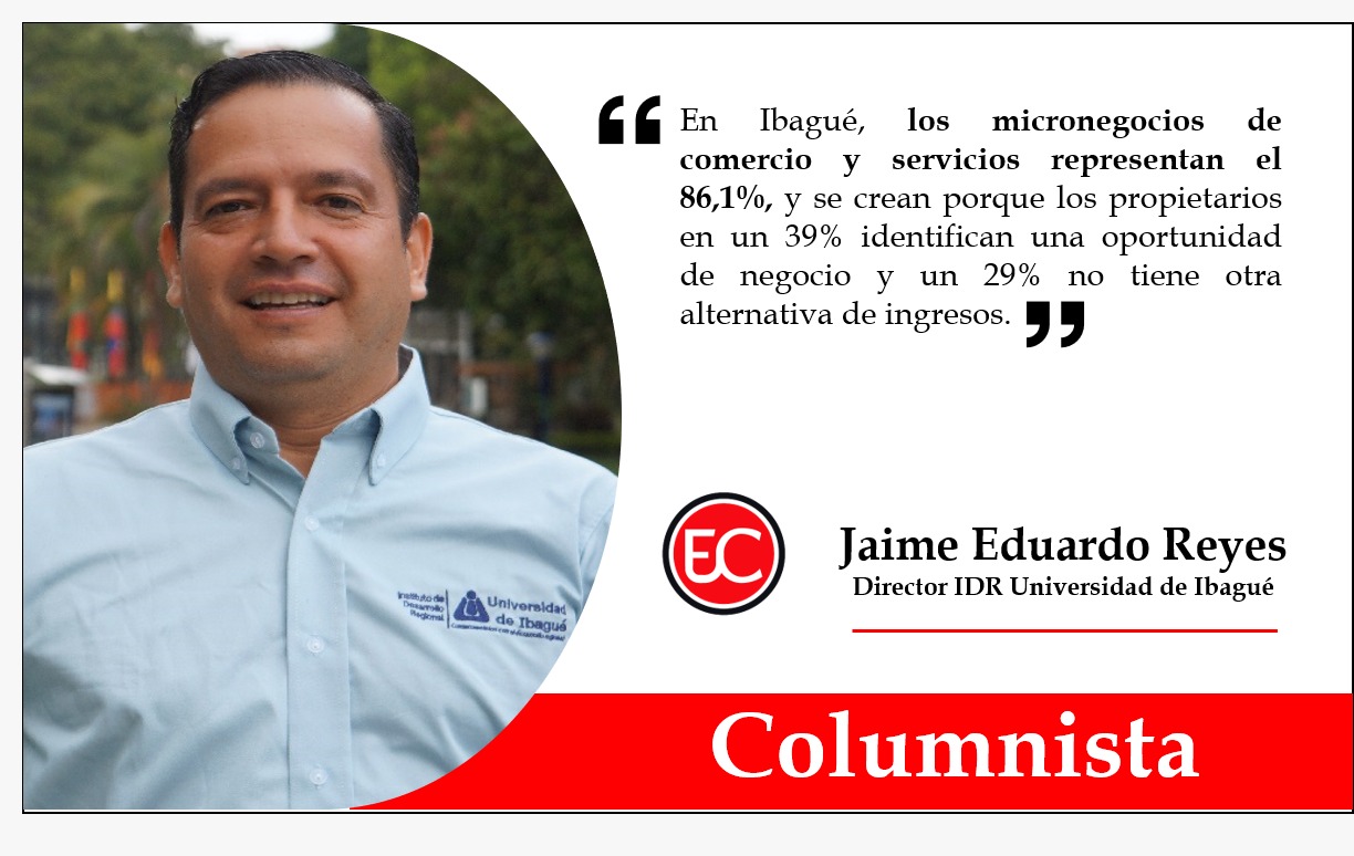 Micronegocios, un sector de la economía que requiere más apoyo