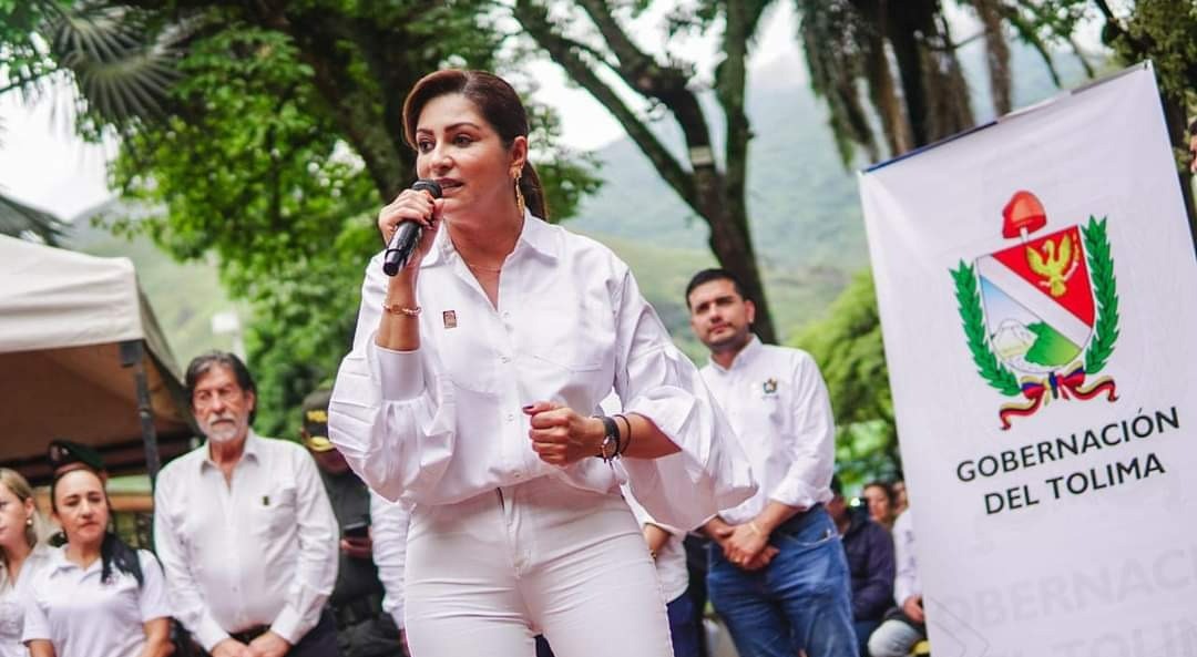 Mindefensa ratificó incremento de Fuerza Pública en el sur del Tolima