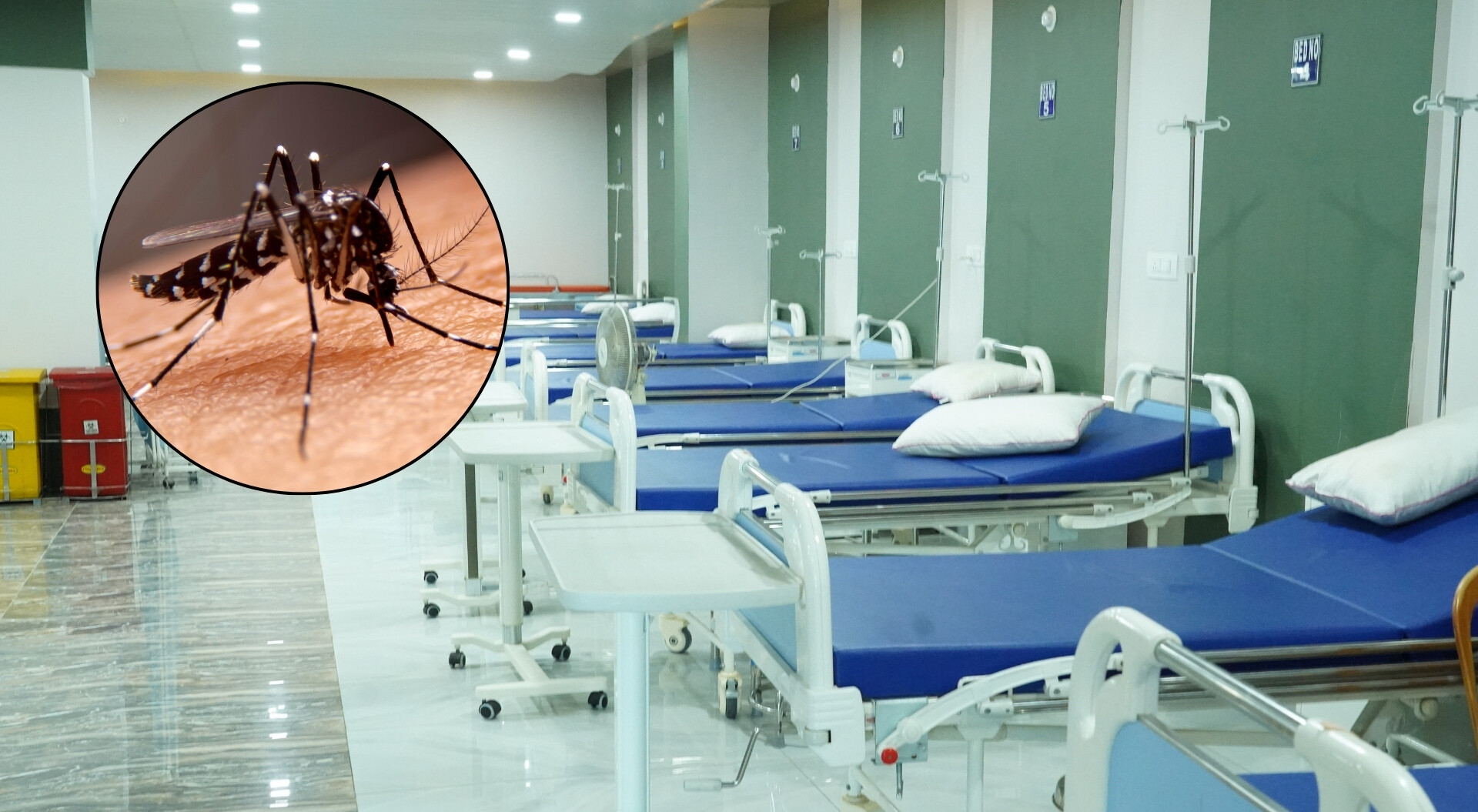 Niña de apenas 6 años murió por dengue en Ibagué