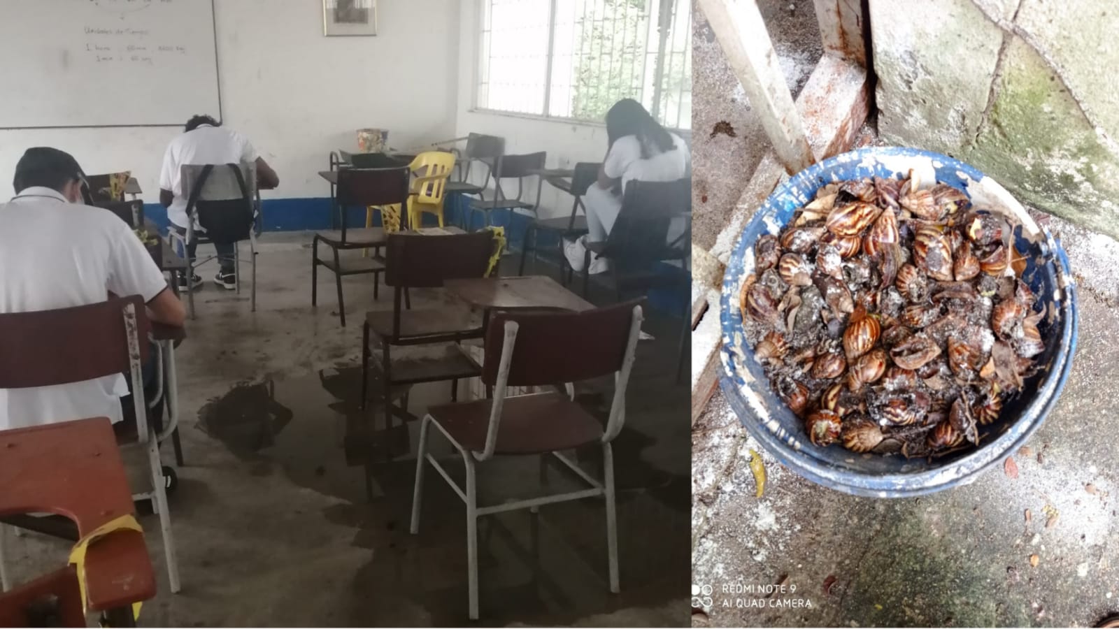 Niños de Lérida estudian en medio de charcos y caracoles africanos