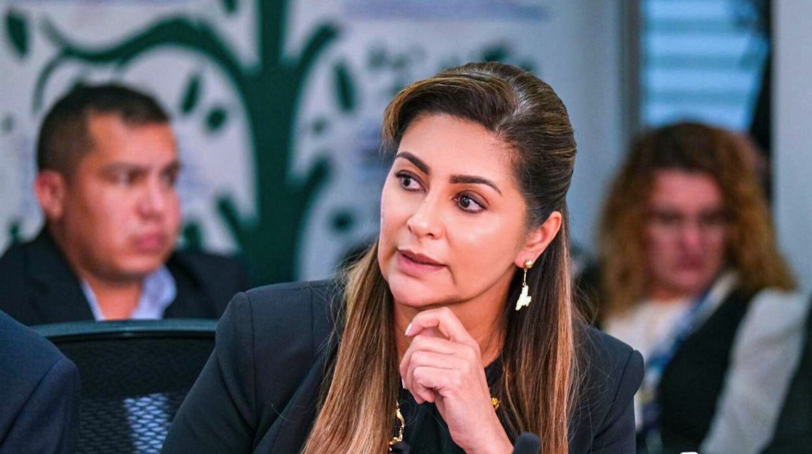 “No es ninguna rebelión”: Matiz defiende rechazo al decreto de emergencia económica