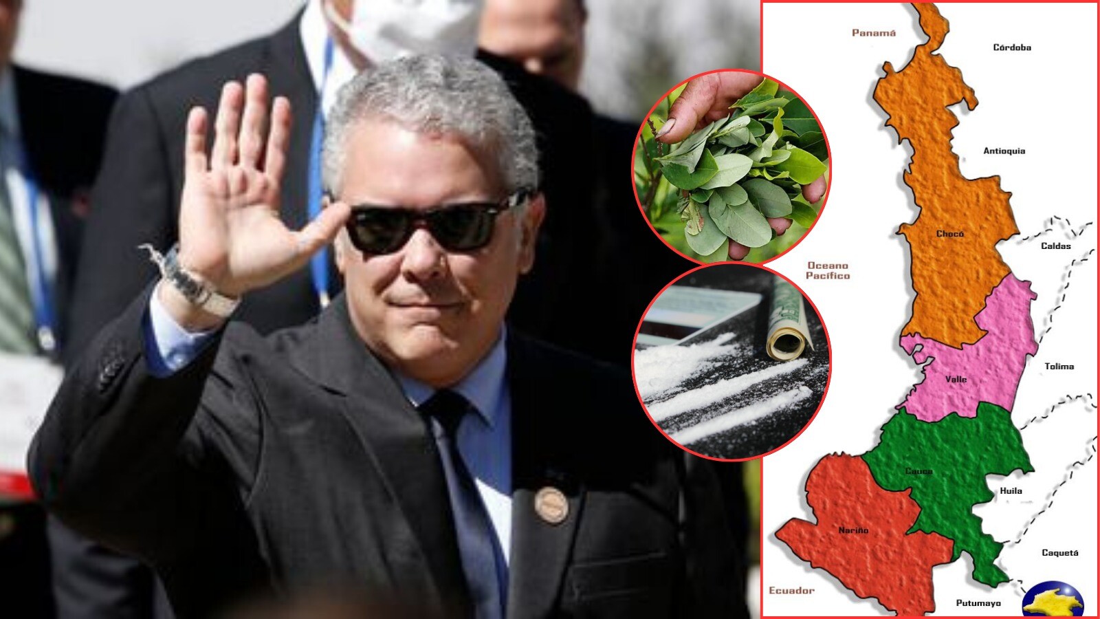 Ocultaron más del 40 % de la coca producida en Colombia durante el gobierno Duque