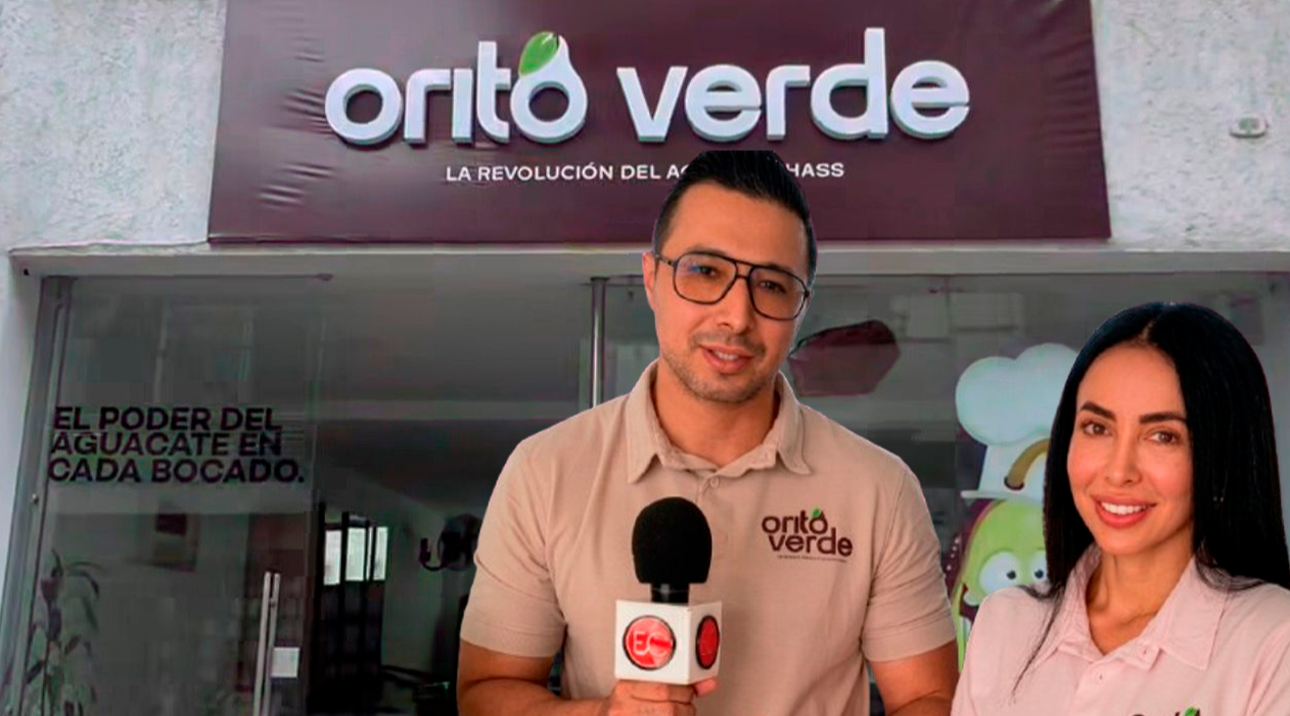 Orito Verde: el aguacate Hass en el Tolima se reinventa