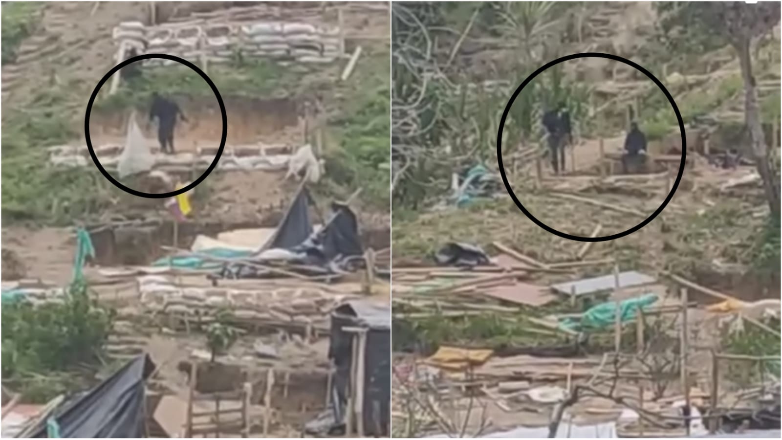 ¿Paramilitares destruyen invasión 'La Mulita' en Ibagué?