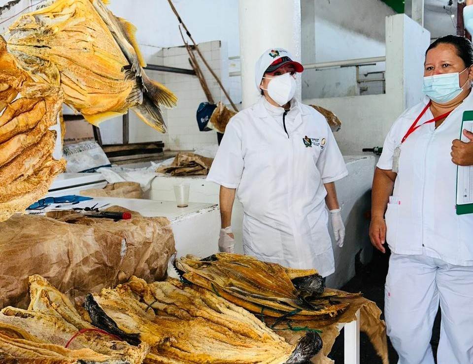 Autoridades inspeccionan comercialización de pescado en Honda