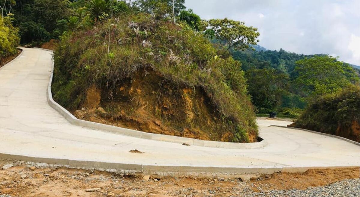 Placa huella en la vía Chaparral–Calarma-Risalda presentaría deterioro a dos años de entregada