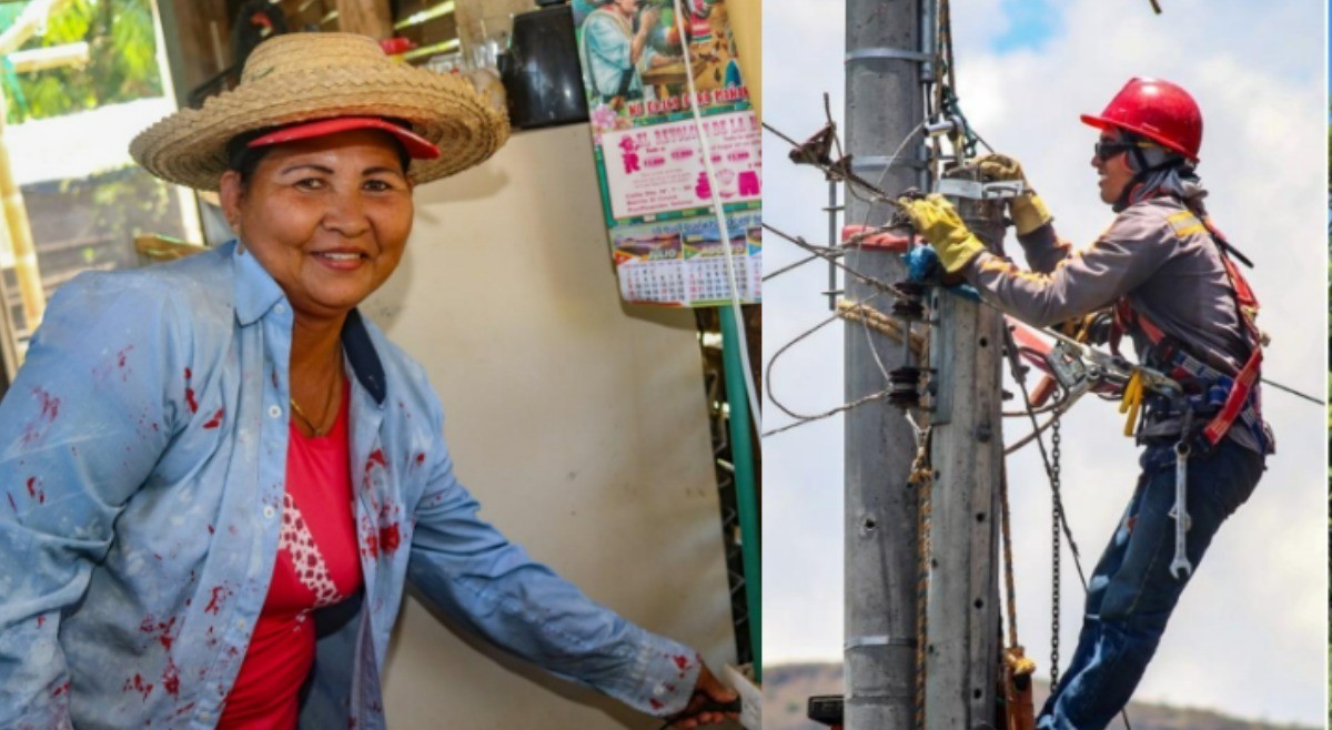 Poincos Tairas, la comunidad indígena que ‘iluminó’ Celsia