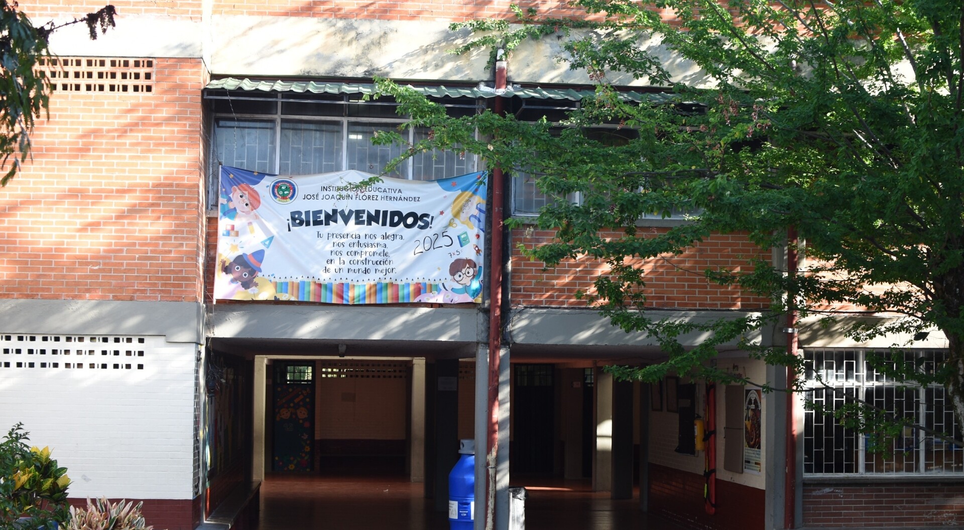 Polémica en Ibagué por la tala de 89 árboles para construir un colegio