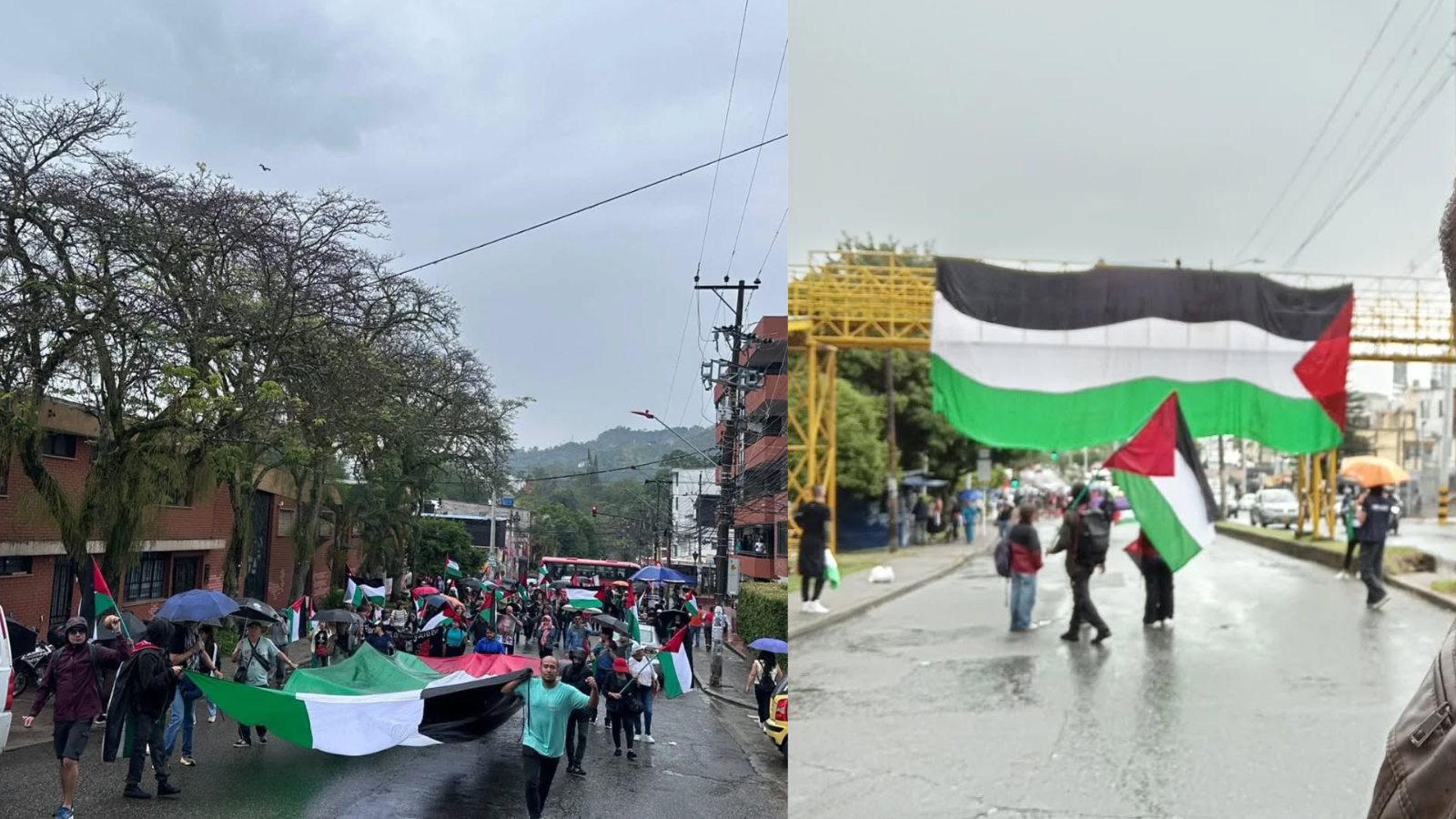 Universidad del Tolima encabezó la marcha por Palestina en Ibagué