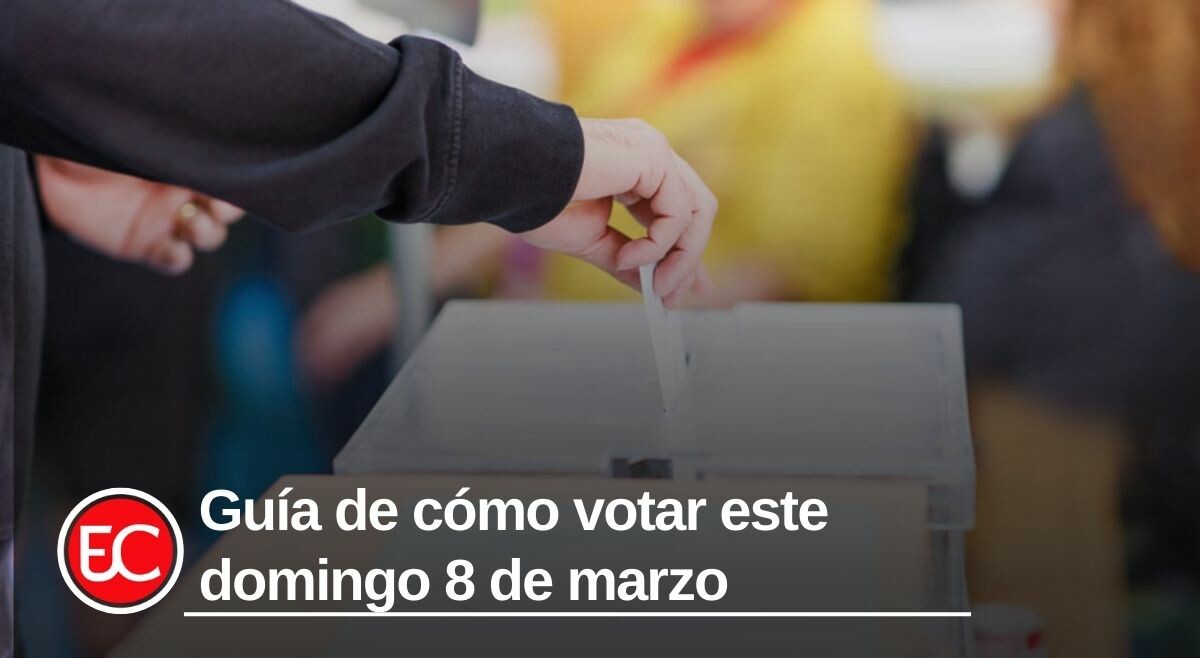 Guía de cómo votar este domingo 8 de marzo