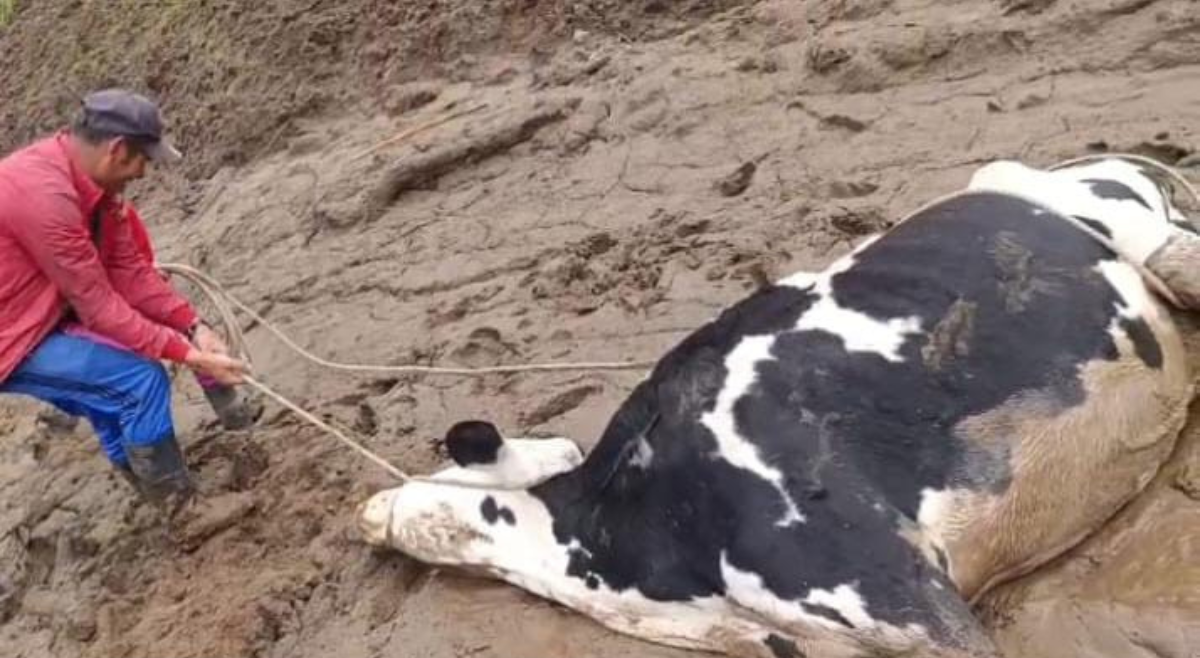 Sin paso, sin agua y sin ayuda suficiente: la realidad de Samaria tras la avalancha