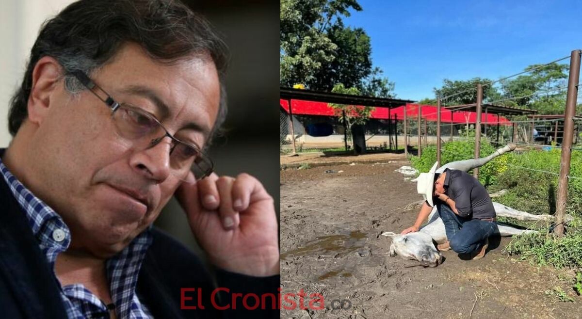 "El caballo sintió tanta bestialidad encima que prefirió morirse": Petro a senador