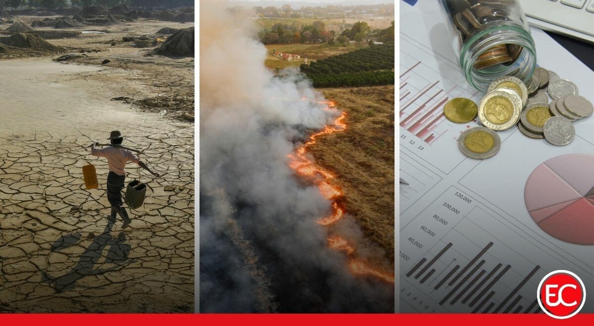 Sequía, incendios y menos plata: el difícil panorama del campo tolimense