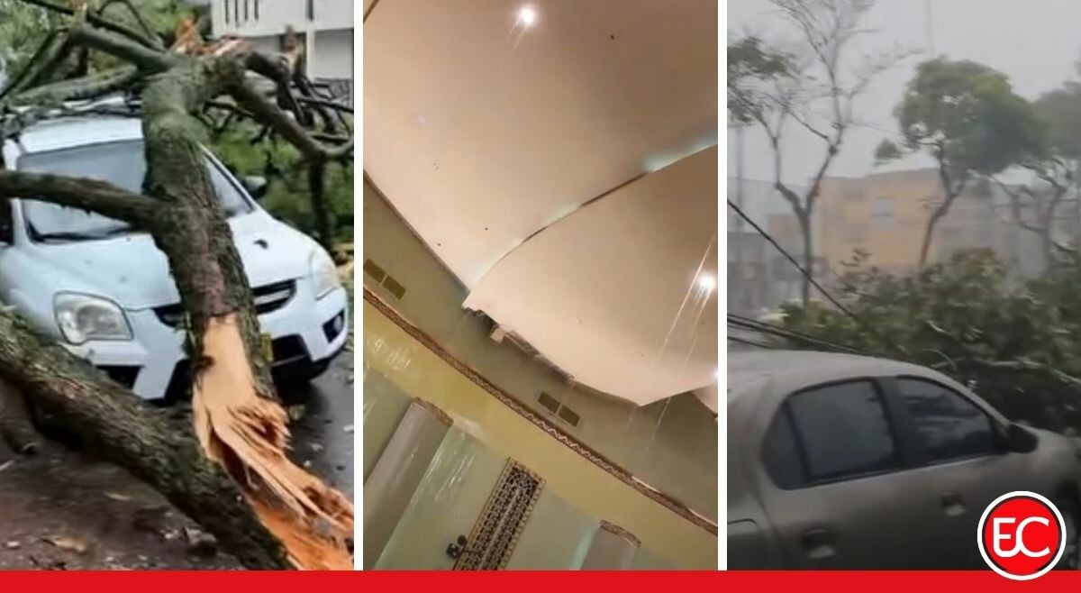 Aguacero dejó árboles caídos, inundaciones y daños en Ibagué