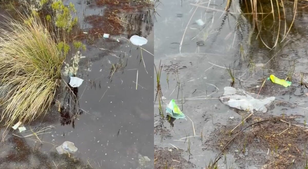 El páramo no es basurero: alertan contaminación en la vía Murillo-Manizales
