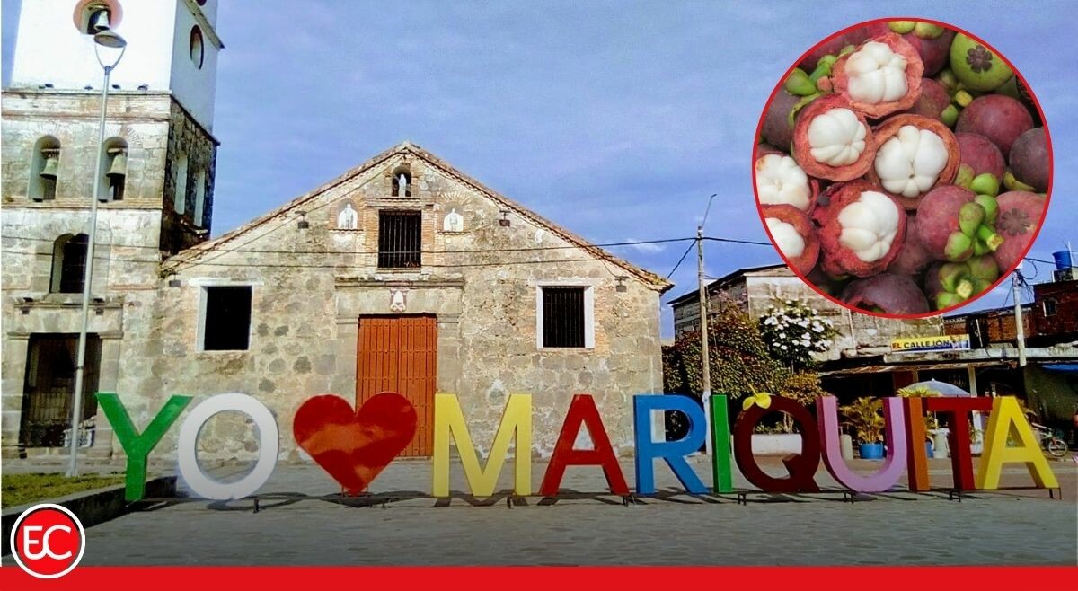 Fiebre de mangostino en Mariquita