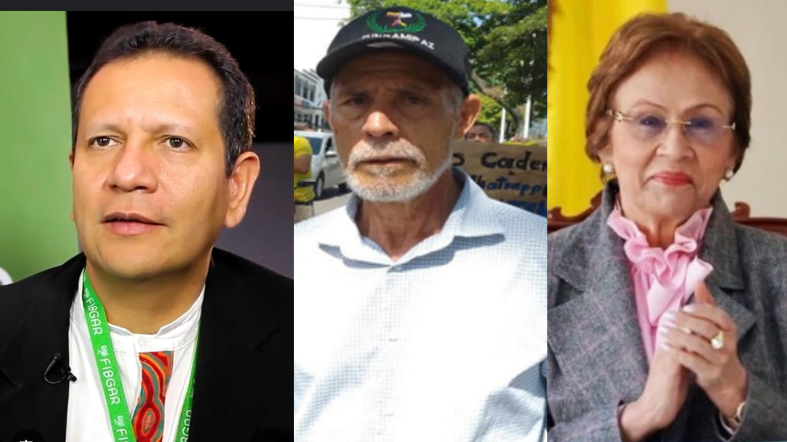 Los precandidatos tolimenses al Senado que clasifican entre los 100