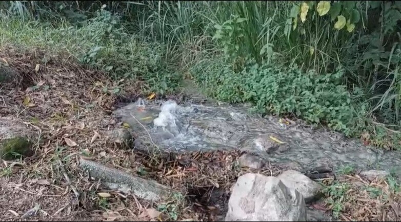 Preocupación en El Vergel por alcantarilla que contamina una quebrada