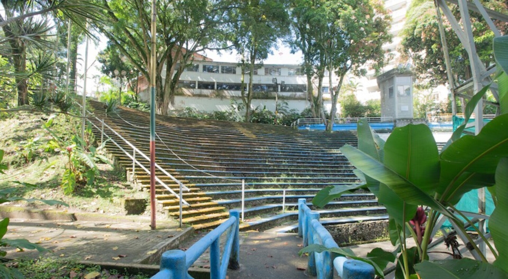 Preocupación por la posible tala de más árboles en el Parque Centenario de Ibagué