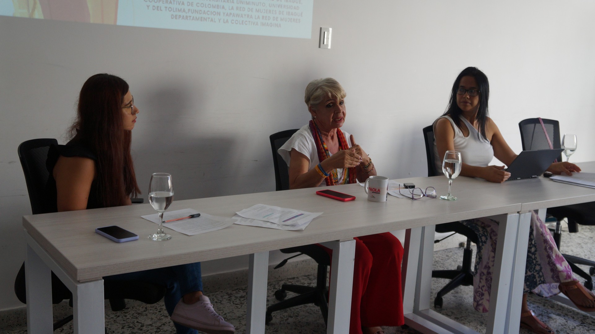 Por un Tolima libre de violencias contra las mujeres