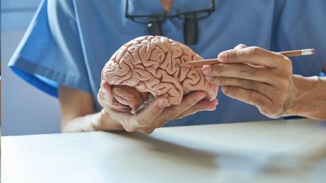 Primer avance en la cura para el Alzheimer