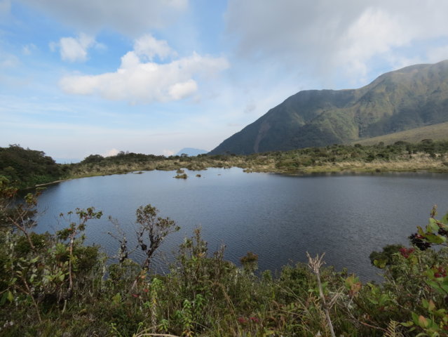 Procuraduría le exige a Cortolima medidas para proteger la laguna El Silencio