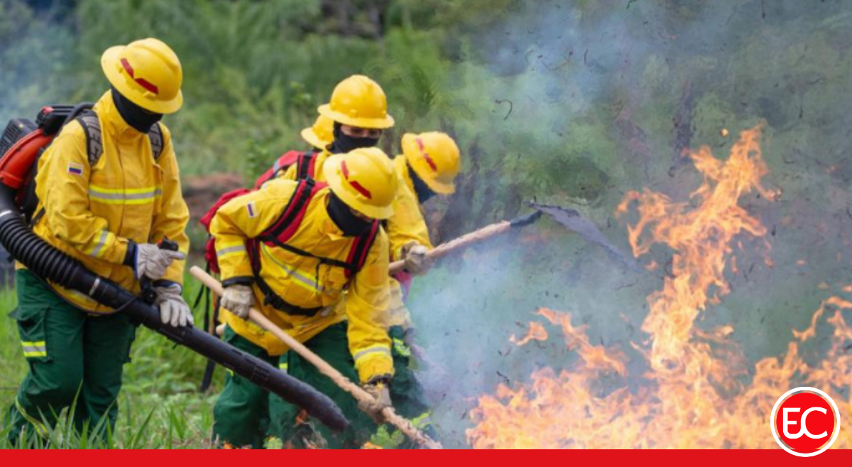 Procuraduría pide reforzar atención a incendios en Tolima
