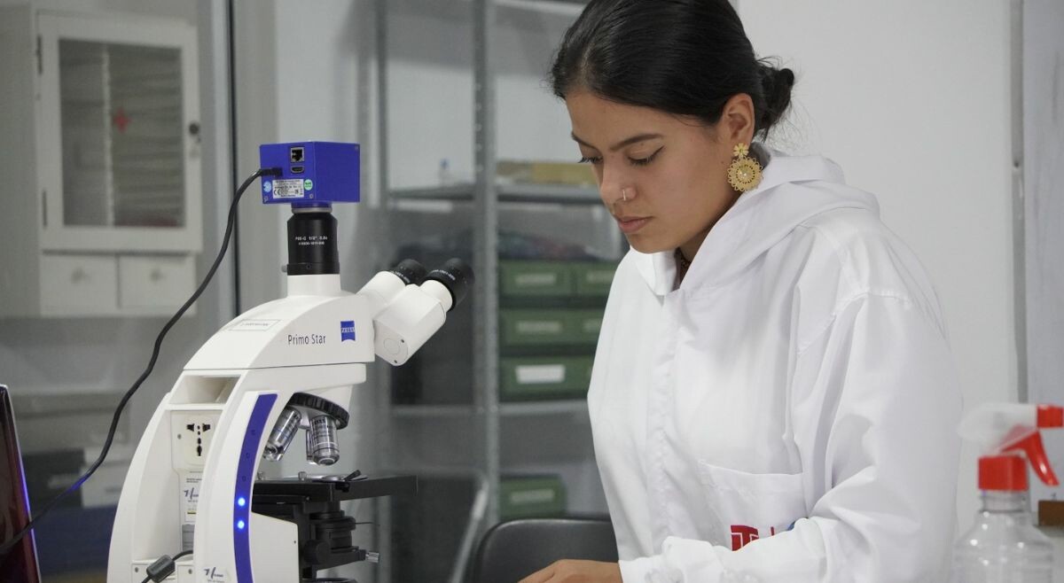 Programa de Biología de la Universidad del Tolima renueva Acreditación en Alta Calidad
