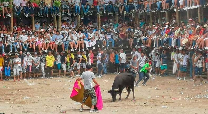 Prohíben las corralejas en las fiestas del Guamo