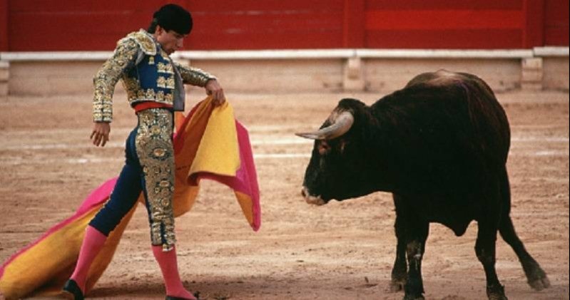 Senado aprobó la prohibición de corridas de toros
