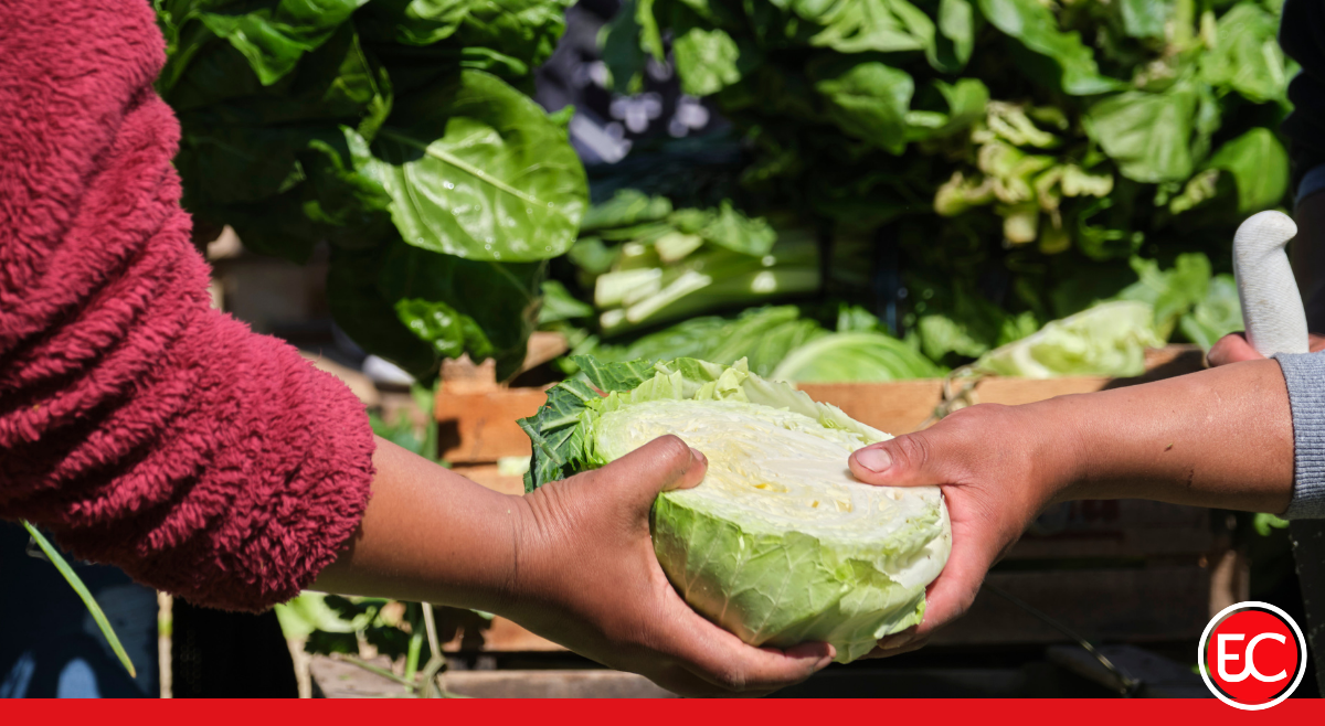 Proyecto de ley busca llevar al campo colombiano hacia la agroecología