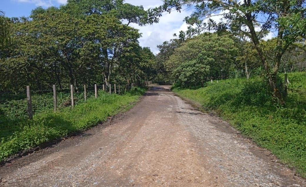 Aprobado proyecto de mejoramiento para vía Prado – Dolores – Alpujarra