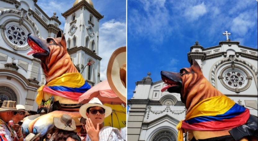 Recordando a Wilson, el perro que llenó de esperanza a toda Colombia