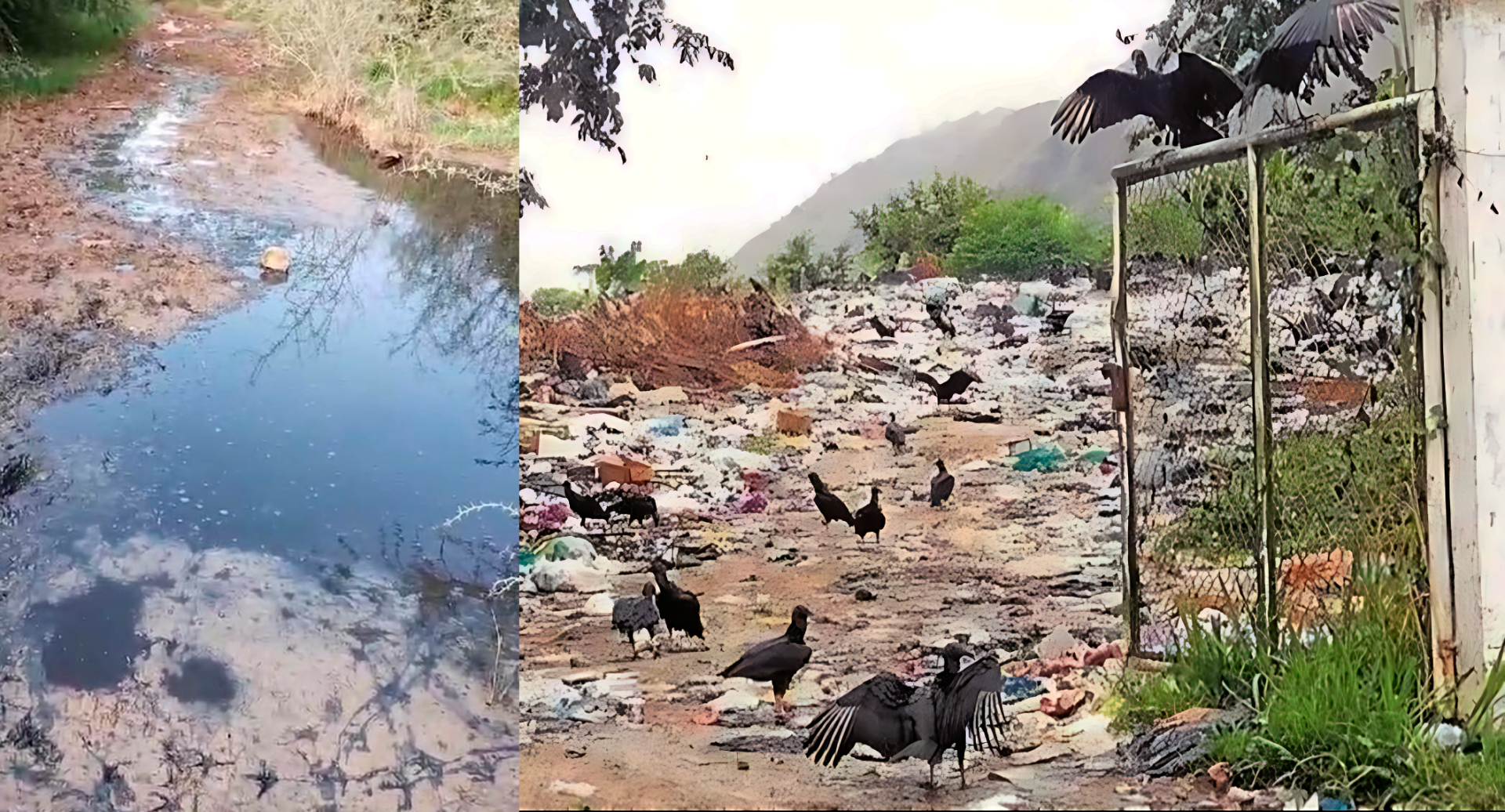 Persisten alertas ambientales y jurídicas sobre el Relleno Sanitario La Miel en Ibagué