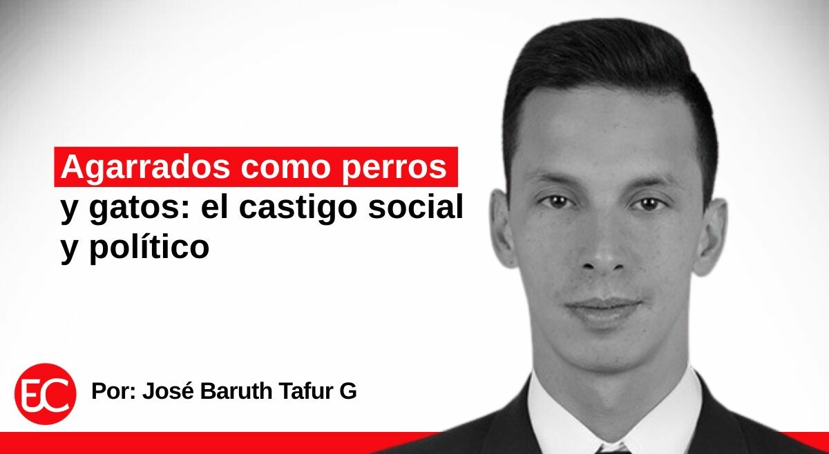 Agarrados como perros y gatos: el castigo social y político