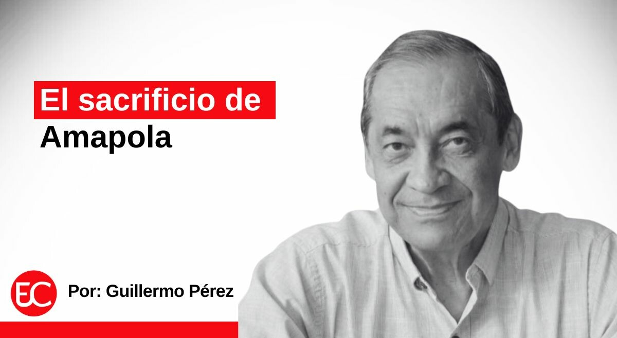 El sacrificio de Amapola