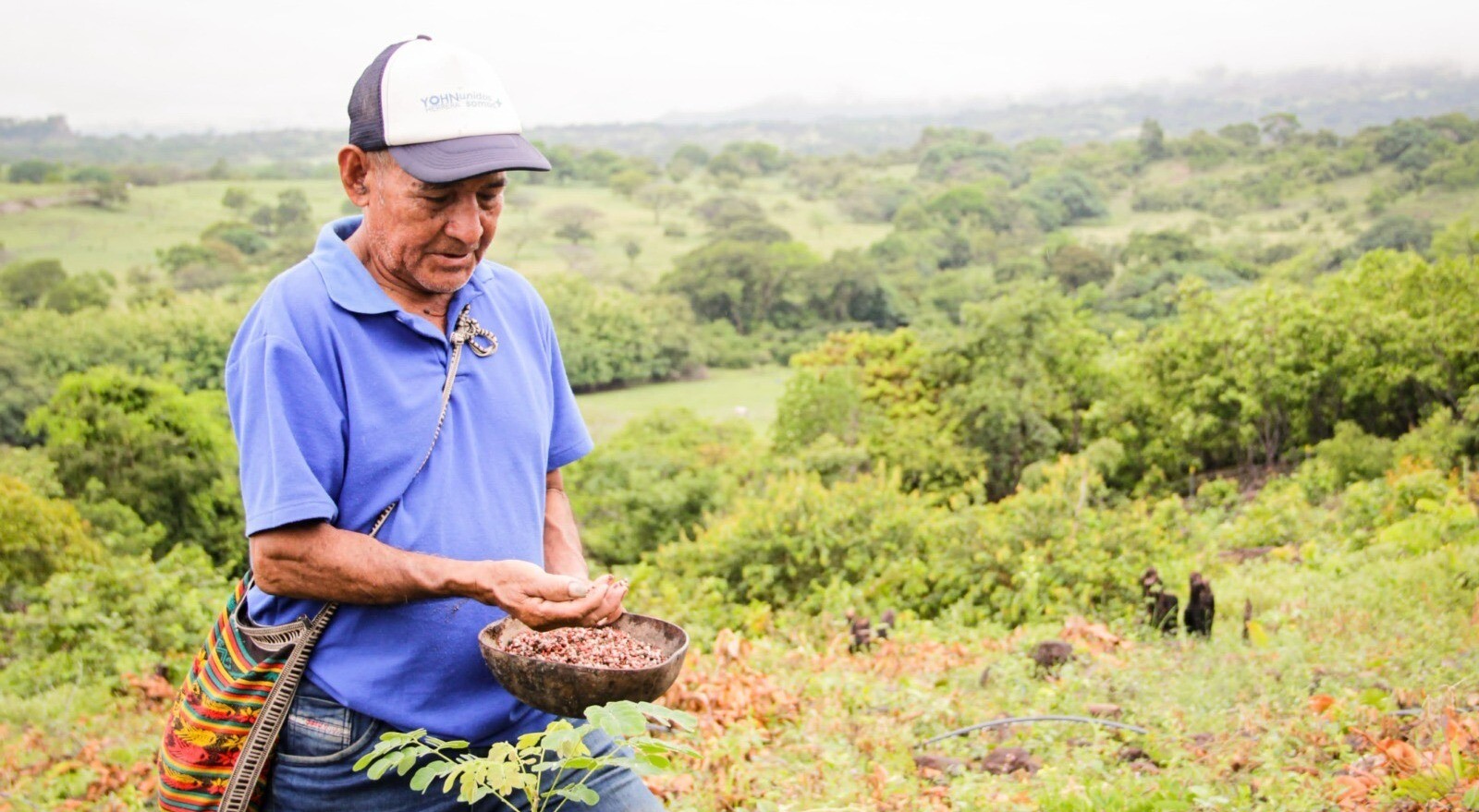 Restauran predios de cinco resguardos indígenas en el Tolima