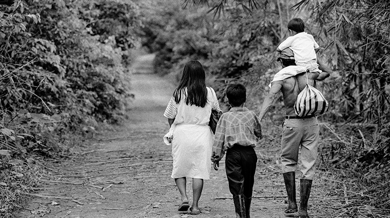 Acuerdos de paz con las FARC permitieron  avance histórico en restitución de tierras en el Tolima