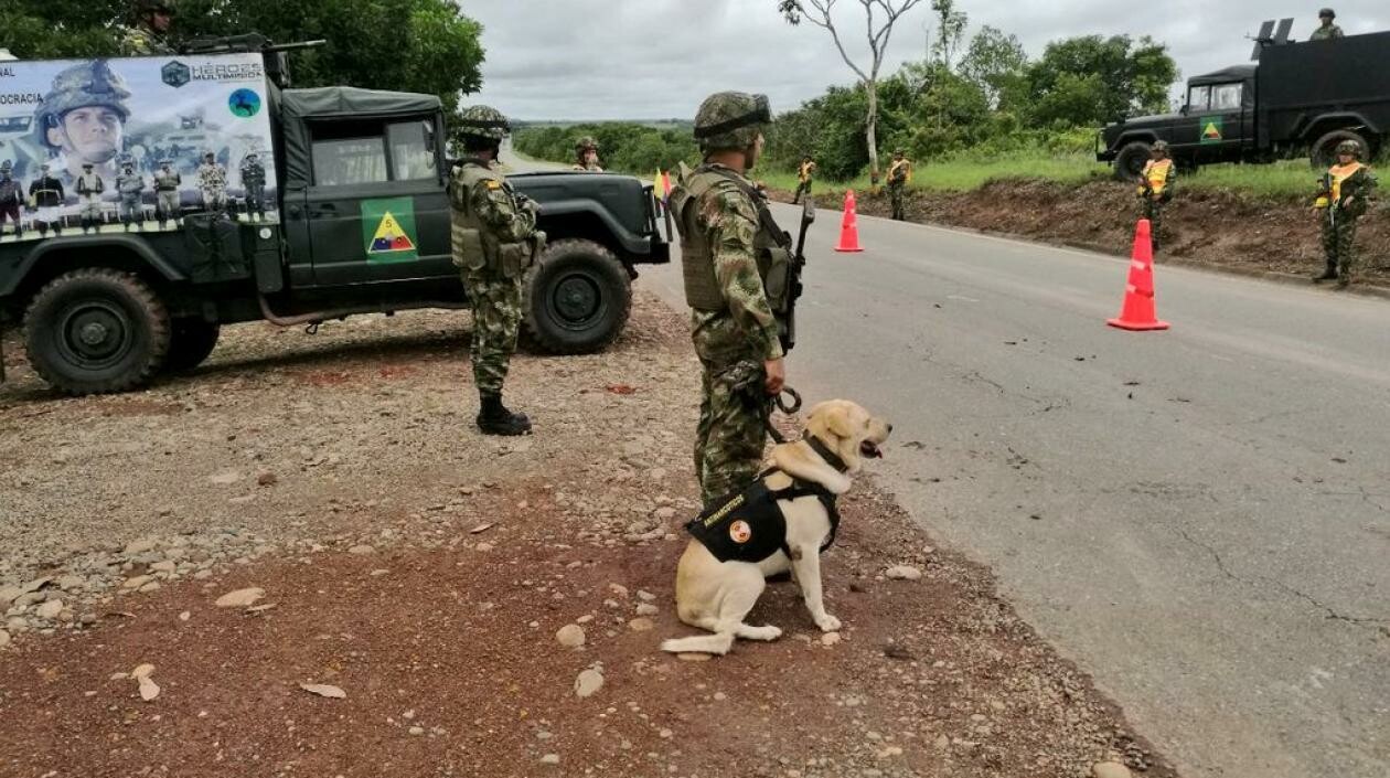 Fuerza pública se une en el Tolima para frenar a alias ‘Amazonas’